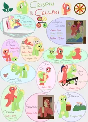 Size: 4545x6299 | Tagged: safe, artist:kaleysia, derpibooru import, big macintosh, fluttershy, oc, oc:cellini, oc:congerie, oc:crispin, duck, earth pony, hybrid, pegasus, pony, absurd resolution, age progression, apple, baby, baby pony, basket, brother and sister, colt, crying, cutie mark, female, filly, fluttermac, food, freckles, hug, interspecies offspring, keyboard, male, mare, offspring, parent:big macintosh, parent:discord, parent:fluttershy, parent:princess celestia, parents:dislestia, parents:fluttermac, shipping, stallion, straight, tooth gap