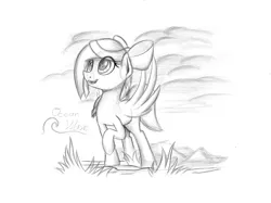 Size: 2732x2048 | Tagged: safe, artist:marmorexx, derpibooru import, oc, unofficial characters only, pegasus, pony, bow, female, grayscale, hair bow, high res, looking up, mare, monochrome, open mouth, raised hoof, sketch, smiling, solo, spread wings, traditional art