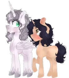 Size: 703x793 | Tagged: safe, artist:waterz-colrxz, derpibooru import, oc, oc:prince nova, unofficial characters only, alicorn, pony, unicorn, blushing, female, male, mare, raised hoof, simple background, stallion, transparent background