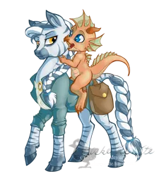 Size: 1820x1936 | Tagged: artist:chickenwhite, bag, braid, braided tail, clothes, copper dragon, derpibooru import, dragon, dungeons and dragons, duo, lidded eyes, looking at each other, looking back, metallic dragon, oc, oc:fizzle, oc:junaid zahir duad, open mouth, pen and paper rpg, ponyfinder, raised hoof, riding, rpg, safe, simple background, smiling, transparent background, unofficial characters only, zebra