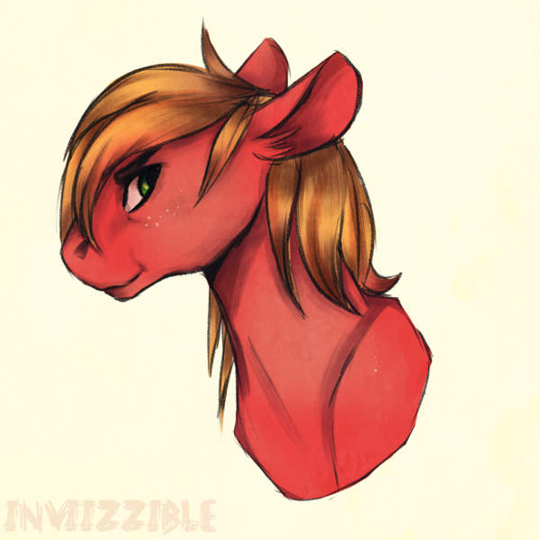 Size: 600x600 | Tagged: safe, artist:inviizzible, derpibooru import, big macintosh, earth pony, pony, bust, male, portrait, simple background, solo, stallion