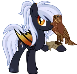 Size: 4004x3862 | Tagged: safe, artist:cayfie, derpibooru import, oc, oc:cirrus sky, oc:soft star, unofficial characters only, bat pony, bird, falcon, pony, absurd resolution, colored wings, duo, simple background, transparent background