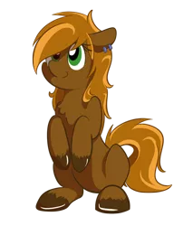 Size: 512x600 | Tagged: safe, artist:crowneprince, derpibooru import, oc, oc:hammer snuggle, unofficial characters only, earth pony, pony, 2018 community collab, derpibooru community collaboration, ear piercing, piercing, simple background, solo, transparent background, unshorn fetlocks