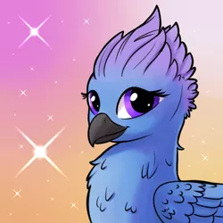 Size: 512x512 | Tagged: safe, artist:swiftsketchpone, derpibooru import, oc, oc:alia, unofficial characters only, gryphon, bust, female, griffon oc, portrait, solo