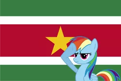 Size: 2084x1389 | Tagged: safe, artist:dunialittlepony, derpibooru import, rainbow dash, pegasus, pony, flag, rainbow dash salutes, salute, suriname