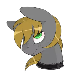 Size: 2000x2000 | Tagged: safe, artist:veincchi, derpibooru import, oc, oc:mind sight, unofficial characters only, earth pony, pony, bust, choker, cute, male, simple background, smiling, solo, stallion, transparent background