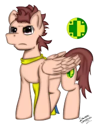 Size: 1596x2024 | Tagged: safe, artist:salamishowdown, derpibooru import, oc, oc:morphius, unofficial characters only, pegasus, pony, cape, clothes, cutie mark, male, simple background, solo, stallion, transparent background