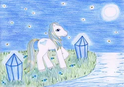 Size: 1024x720 | Tagged: artist:normaleeinsane, crystal, derpibooru import, flower, g2, grass, moon, night, princess sapphire, safe, solo, stars, traditional art, water