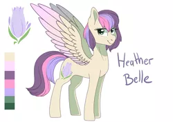 Size: 7016x4961 | Tagged: safe, artist:elskafox, derpibooru import, oc, oc:heather belle, unofficial characters only, pony, absurd resolution, magical lesbian spawn, offspring, parent:fluttershy, parent:twilight sparkle, parents:twishy, reference sheet, simple background, solo, white background