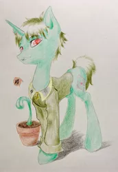 Size: 2641x3829 | Tagged: safe, artist:adetuddymax, derpibooru import, oc, oc:nahuelin, unofficial characters only, pony, unicorn, clothes, male, request, requested art, solo, traditional art, uniform