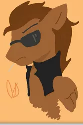 Size: 677x1017 | Tagged: artist needed, safe, derpibooru import, oc, oc:toffee scotch, unofficial characters only, pegasus, pony, clothes, jacket, request, solo, sunglasses, toothpick