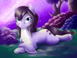 Size: 800x600 | Tagged: safe, artist:faline-art, derpibooru import, oc, unofficial characters only, pony, chest fluff, crossed hooves, female, mare, night, pose, relaxed, relaxing, sky, solo, stars