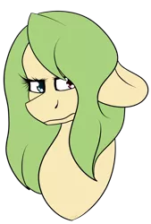 Size: 1024x1518 | Tagged: safe, artist:fizzy2014, derpibooru import, oc, oc:aria, unofficial characters only, earth pony, pony, bust, female, mare, portrait, simple background, solo, transparent background