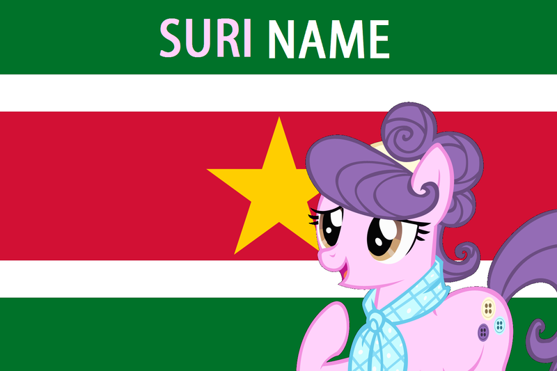 Size: 1596x1064 | Tagged: derpibooru import, flag, pun, safe, solo, suriname, suri polomare