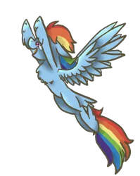 Size: 1824x2296 | Tagged: artist:ashleybances, chest fluff, derpibooru import, flying, rainbow dash, safe, simple background, solo, transparent background, unshorn fetlocks