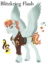 Size: 1504x2032 | Tagged: safe, artist:legally-psychotic, derpibooru import, oc, oc:blitzkrieg flash, unofficial characters only, pegasus, pony, clothes, cutie mark, jacket, magical lesbian spawn, male, offspring, parent:oc:stained glass, parent:rainbow dash, parents:canon x oc, reference sheet, simple background, solo, stallion, transparent background