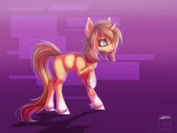 Size: 2000x1500 | Tagged: safe, artist:coralinatoilly, derpibooru import, oc, unofficial characters only, pony, solo