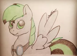 Size: 597x438 | Tagged: safe, artist:kundofox, derpibooru import, oc, oc:silver stream, unofficial characters only, pegasus, pony, goggles, green eyes, looking at you, solo, traditional art