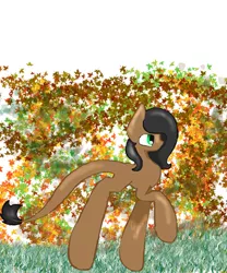 Size: 1800x2160 | Tagged: safe, artist:haillee, derpibooru import, oc, unofficial characters only, pony, the cutie map, autumn, dragon star, female, filly, grass, leaves, long tail, shading, solo