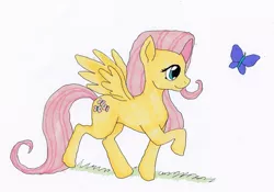 Size: 3000x2098 | Tagged: safe, artist:deoxtri, derpibooru import, fluttershy, butterfly, pegasus, pony, looking at something, raised hoof, simple background, simplistic art style, spread wings, walking, white background