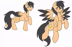 Size: 733x476 | Tagged: safe, artist:pitchpatch, derpibooru import, oc, oc:playbitz, unofficial characters only, pegasus, pony, reference sheet, simple background, solo, white background