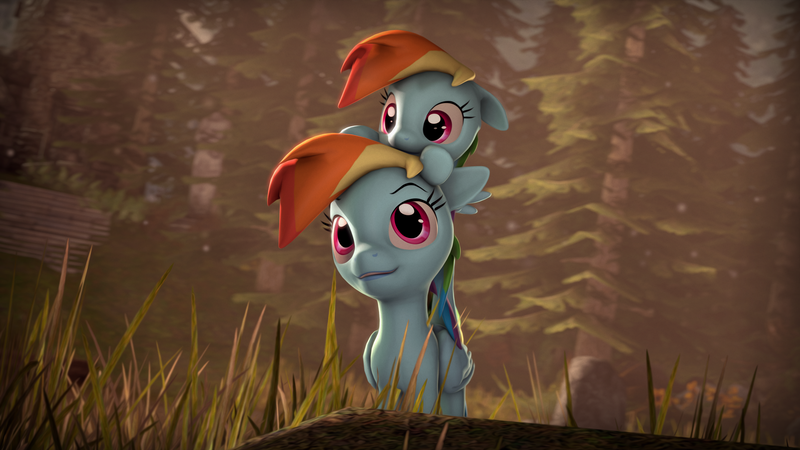 Size: 3840x2160 | Tagged: safe, artist:imafutureguitarhero, derpibooru import, rainbow dash, pony, 3d, 4k, cute, dashabetes, double rainbow, duality, duo, filly, filly rainbow dash, forest, grass, hnnng, pony hat, self ponidox, source filmmaker, tall grass, time paradox