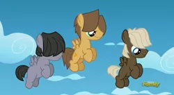 Size: 832x456 | Tagged: blank flank, boy bullies, colt, cute, derpibooru import, discovery family logo, dumbbell, flashback, hoops, male, quarterback, safe, screencap, the lost treasure of griffonstone, younger