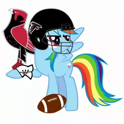 Size: 2333x2333 | Tagged: american football, atlanta falcons, derpibooru import, falcon, helmet, nfl, nfl playoffs, rainbow dash, safe, super bowl, super bowl li