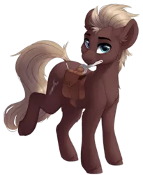 Size: 738x900 | Tagged: safe, artist:silentwulv, derpibooru import, oc, oc:spanner, unofficial characters only, earth pony, pony, bag, male, mouth hold, simple background, solo, spoon, stallion, transparent background