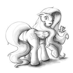 Size: 1000x1000 | Tagged: artist:blue-paint-sea, derpibooru import, flutterbutt, fluttershy, looking back, monochrome, open mouth, plot, raised hoof, safe, signature, simple background, sketch, solo, white background