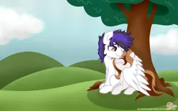 Size: 4800x3000 | Tagged: absurd resolution, artist:raspberrystudios, blushing, cloud, commission, company, cuddling, derpibooru import, hill, hug, meme, oc, otp, safe, scenery, shipping, sitting, snuggling, tree, unofficial characters only, winghug, wings