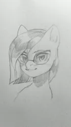 Size: 337x600 | Tagged: safe, artist:share dast, derpibooru import, oc, oc:eve scintilla, unofficial characters only, earth pony, pony, bust, eyebrows, glasses, monochrome, pencil drawing, portrait, short mane, sketch, solo, traditional art