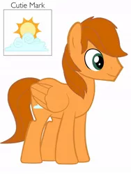 Size: 774x1032 | Tagged: safe, artist:painbowcrash, derpibooru import, oc, oc:dawn daze, unofficial characters only, pegasus, pony, cutie mark, reference sheet, simple background, solo, vector, white background