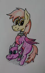 Size: 1872x3024 | Tagged: safe, artist:bumskuchen, derpibooru import, oc, oc:ferb fletcher, unofficial characters only, pegasus, pony, clothes, cosplay, costume, cynder, request, requested art, solo, spyro the dragon, the legend of spyro, traditional art