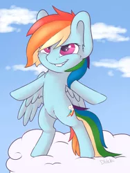 Size: 3000x4000 | Tagged: artist:dbleki, brave, chest fluff, cloud, cute, derpibooru import, fluffy, fluffyball, rainbow dash, safe, smiling, solo