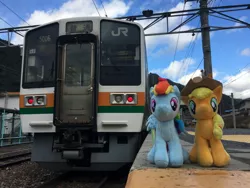 Size: 3264x2448 | Tagged: 4de, applejack, artist:setorin5, derpibooru import, irl, japan, photo, plushie, ponies around the world, rainbow dash, safe, station, train