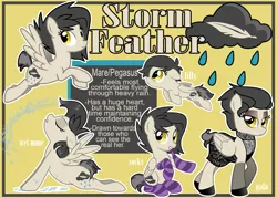 Size: 1867x1339 | Tagged: safe, artist:lostinthetrees, derpibooru import, oc, oc:storm feather, unofficial characters only, pegasus, pony, clothes, dress, female, filly, gala dress, mare, reference sheet, socks, solo, striped socks, wet mane, younger