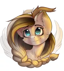 Size: 1024x1141 | Tagged: dead source, safe, artist:freckleplant, derpibooru import, oc, unofficial characters only, pegasus, pony, braid, bust, female, mare, portrait, simple background, solo, white background