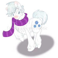 Size: 1624x1639 | Tagged: artist:legally-psychotic, cheek fluff, chest fluff, clothes, derpibooru import, double diamond, ear fluff, fluffy, raised hoof, red nosed, safe, scarf, shoulder fluff, simple background, solo, transparent background, unshorn fetlocks, watermark