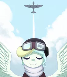 Size: 2000x2287 | Tagged: safe, artist:mrscroup, derpibooru import, vapor trail, pegasus, pony, top bolt, air force, aviator goggles, aviator hat, bomber jacket, clothes, eyes closed, female, goggles, hat, helmet, mare, plane, raf, royal air force, scarf, smiling, solo, spread wings, supermarine spitfire