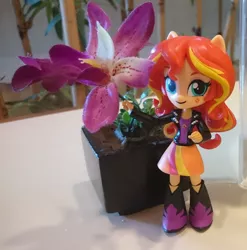 Size: 2117x2145 | Tagged: safe, artist:hero1290, derpibooru import, sunset shimmer, equestria girls, boots, clothes, doll, equestria girls minis, eqventures of the minis, flower, high heel boots, irl, jacket, photo, skirt, solo, toy