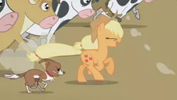 Size: 1280x720 | Tagged: safe, derpibooru import, screencap, applejack, bessie, winona, cow, earth pony, pony, applebuck season, eyes closed, female, galloping, herding, mare, udder