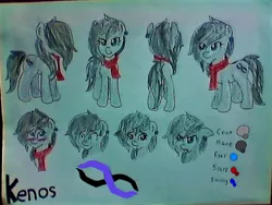Size: 640x480 | Tagged: safe, artist:kenos, derpibooru import, oc, oc:kenos, unofficial characters only, earth pony, pony, reference sheet, solo, traditional art