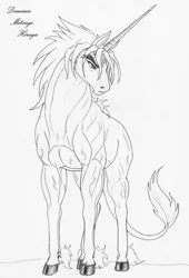 Size: 851x1250 | Tagged: safe, artist:leovictor, derpibooru import, oc, oc:damian mitsugi hiraga, unofficial characters only, hybrid, pony, unicorn, monochrome, muscles, simple background, solo, unshorn fetlocks, vein, vein bulge, white background