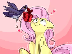 Size: 640x480 | Tagged: safe, artist:pinkymynery2212, derpibooru import, fluttershy, bird, pegasus, pony, blushing, crack shipping, crossover, crossover shipping, cute, floppy ears, flutterdove, flying, gift giving, heart, heart eyes, lol, looking up, mouth hold, present, shipping, shivering, shyabetes, sitting, smiling, trash dove, valentine's day, wat, wide eyes, wingding eyes