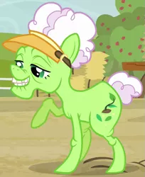 Size: 453x555 | Tagged: safe, derpibooru import, screencap, auntie applesauce, earth pony, pony, apple family reunion, cropped, elderly, female, mare, raised hoof, solo, visor