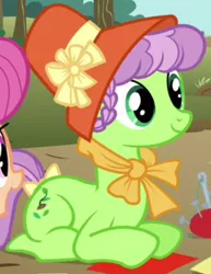 Size: 259x336 | Tagged: safe, derpibooru import, screencap, auntie applesauce, earth pony, pony, apple family reunion, apple family member, background pony, cropped, female, mare, prone, solo, solo focus, younger