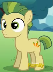 Size: 557x758 | Tagged: safe, derpibooru import, screencap, carrot crunch, earth pony, pony, crusaders of the lost mark, colt, cropped, discovery family, discovery family logo, foal, male, solo