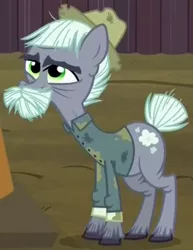 Size: 390x505 | Tagged: safe, derpibooru import, screencap, dusty mccolt, earth pony, pony, the hooffields and mccolts, cropped, mccolt family, solo