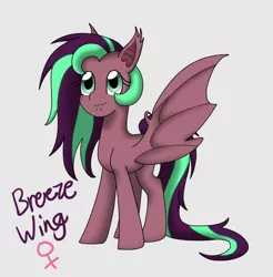 Size: 1024x1041 | Tagged: safe, artist:rosequartz1, derpibooru import, oc, oc:breeze wing, unofficial characters only, pony, vampony, cute, cute little fangs, fangs, female, gray background, mare, offspring, parent:big macintosh, parent:fluttershy, parents:fluttermac, simple background, solo, spread wings